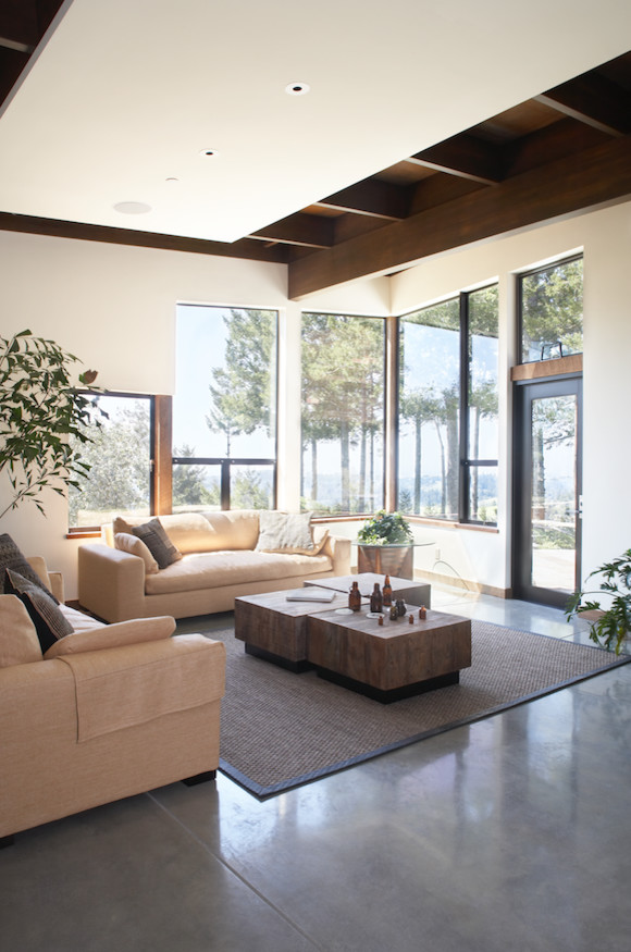 This is an example of a large contemporary open concept living room in San Francisco with grey floor, concrete floors, beige walls and no tv.
