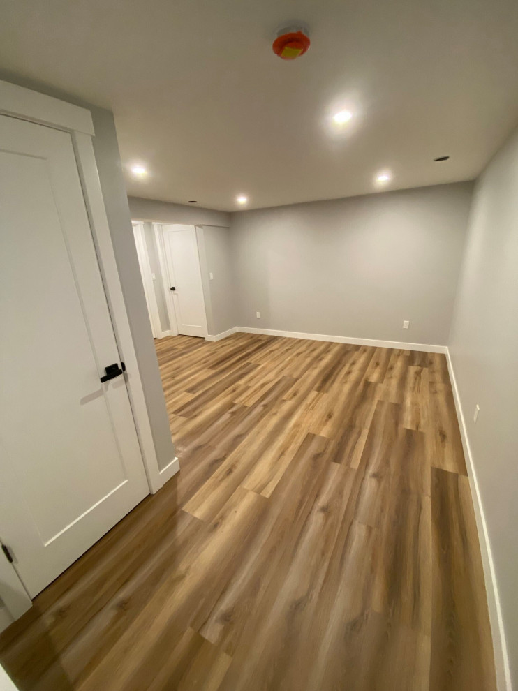 Basement Development