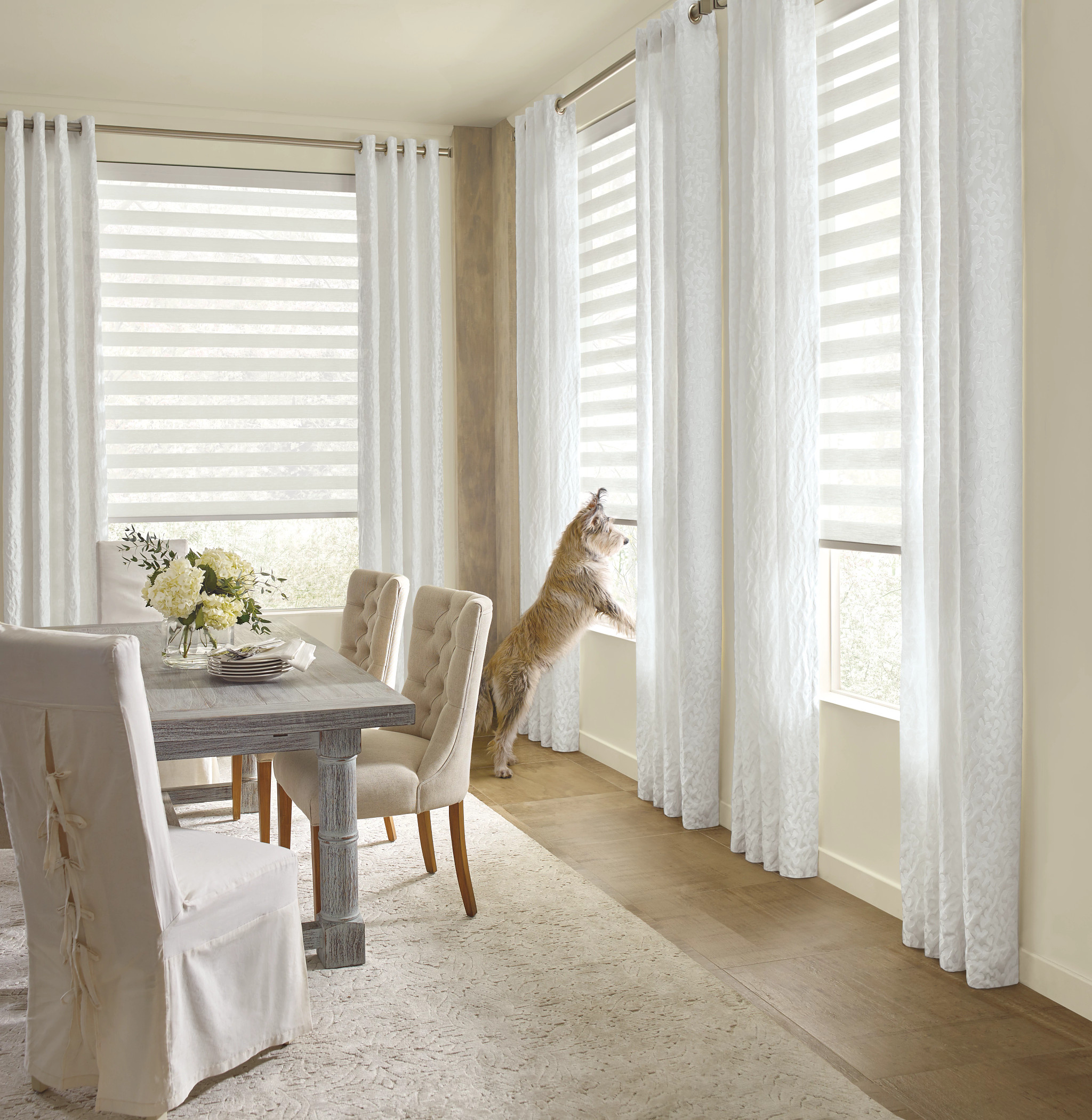 Banded Shades / Zebra Blinds