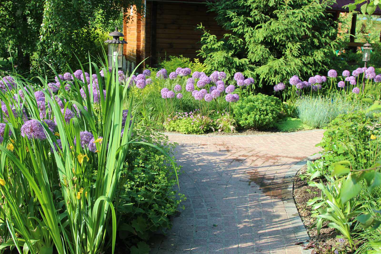 Ландшафтный дизайн загородного участка