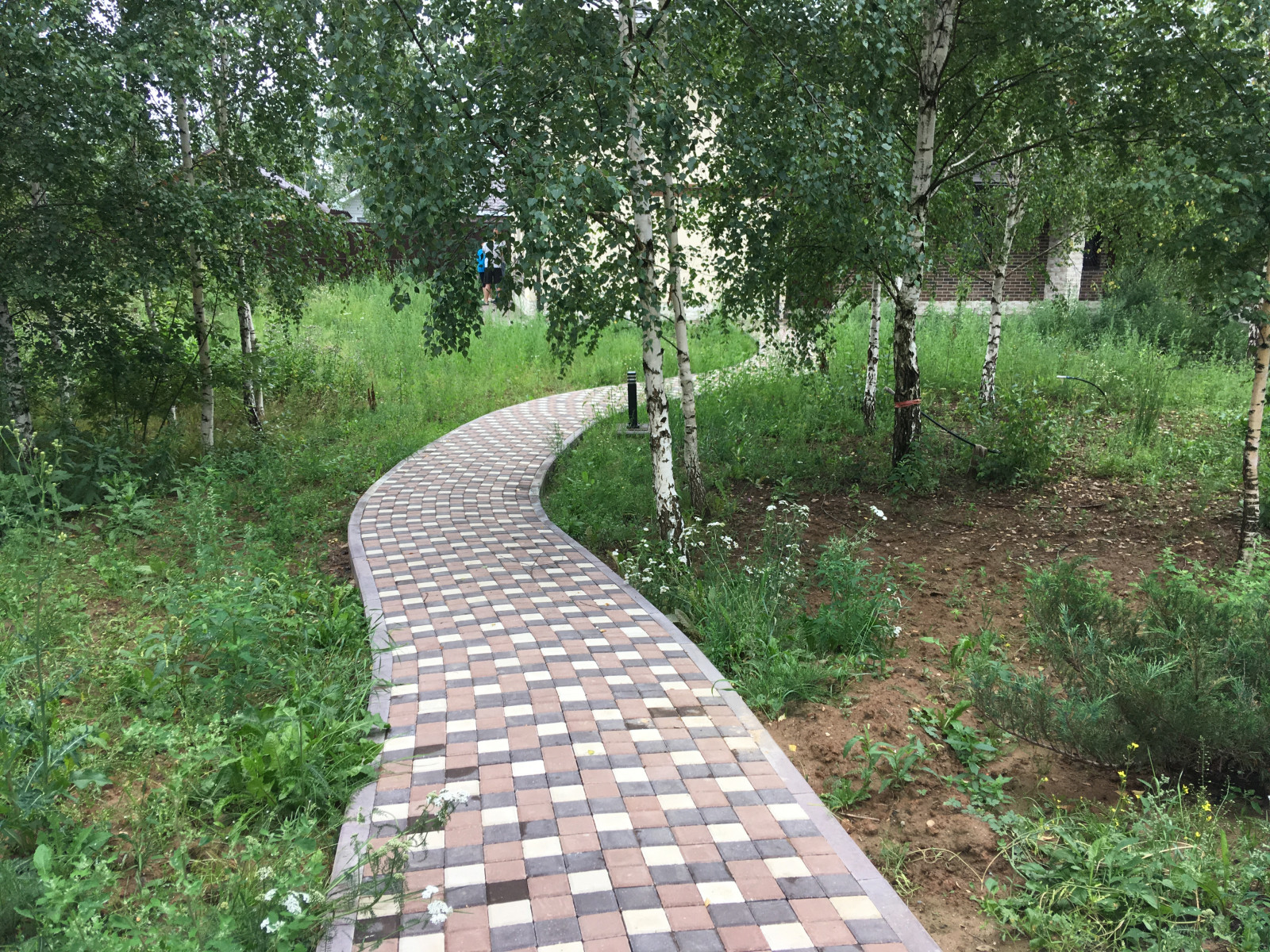 Озеленение под ключ объекта Заказчика