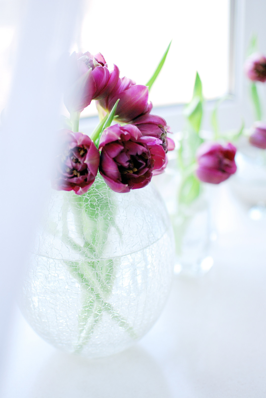 Квартира с весенним настроением