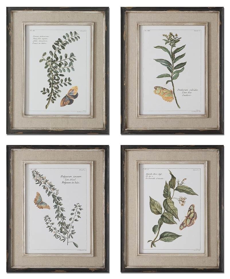 Uttermost Butterfly Plants Framed Art, Set of 4