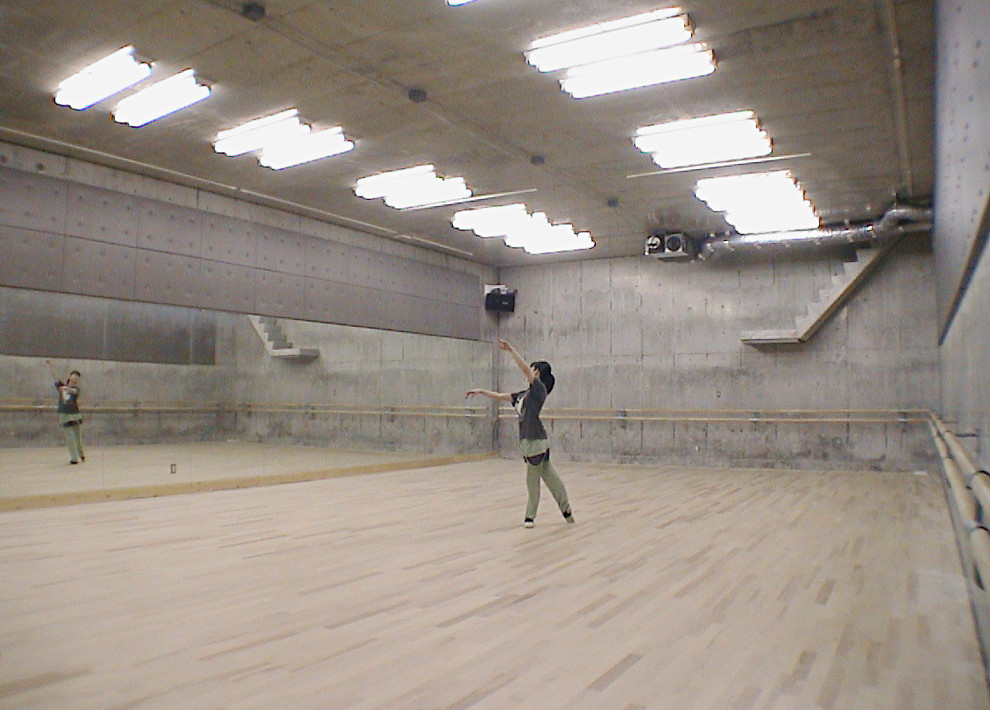 東京都下にある高級な巨大なモダンスタイルのおしゃれな地下室 (全地下、グレーの壁、淡色無垢フローリング、ベージュの床) の写真