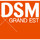 DSM Grand-Est