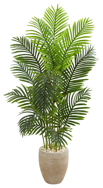 Home Decor 28"D x28"W x5' Paradise Palm Artificial Tree in Sand Colored Planter
