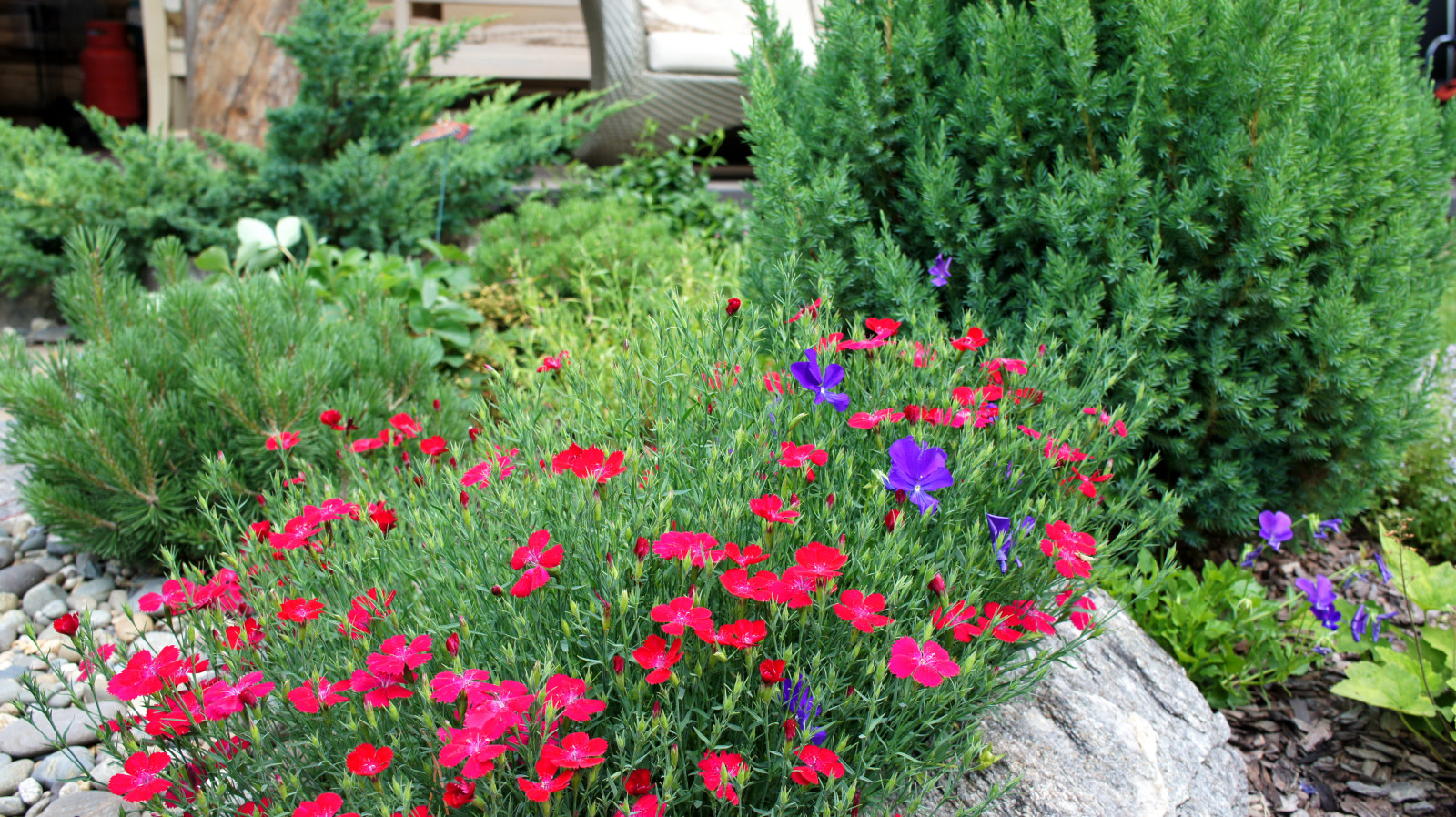 Цветники и композиции крупным планом