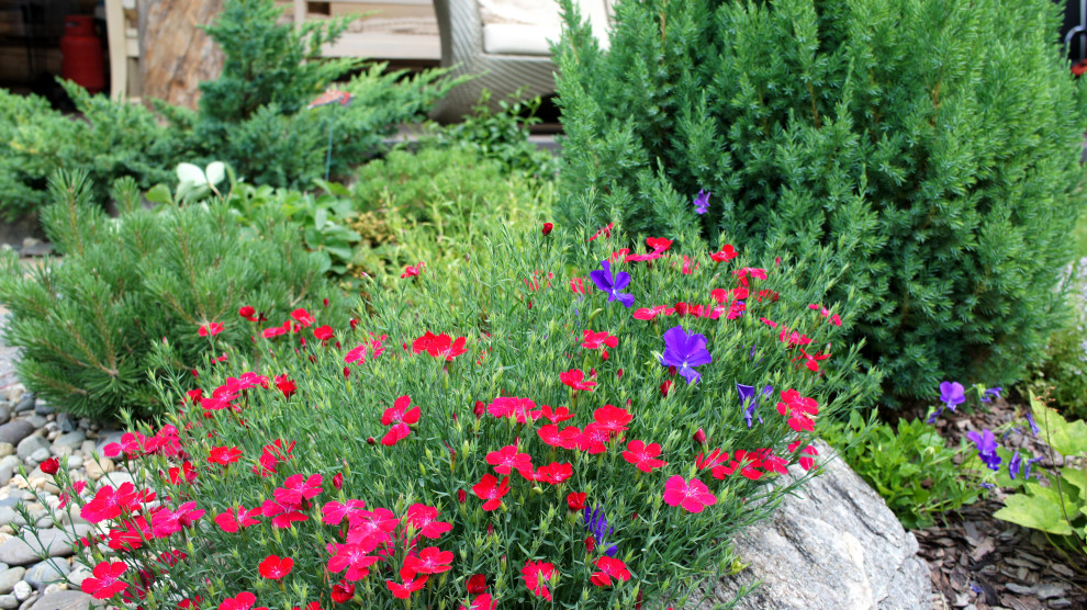 Цветники и композиции крупным планом