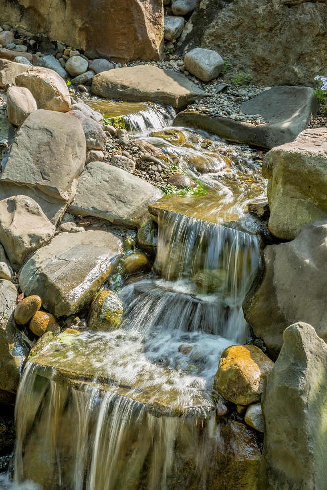 This is an example of a contemporary backyard water fountain landscape in Baltimore.