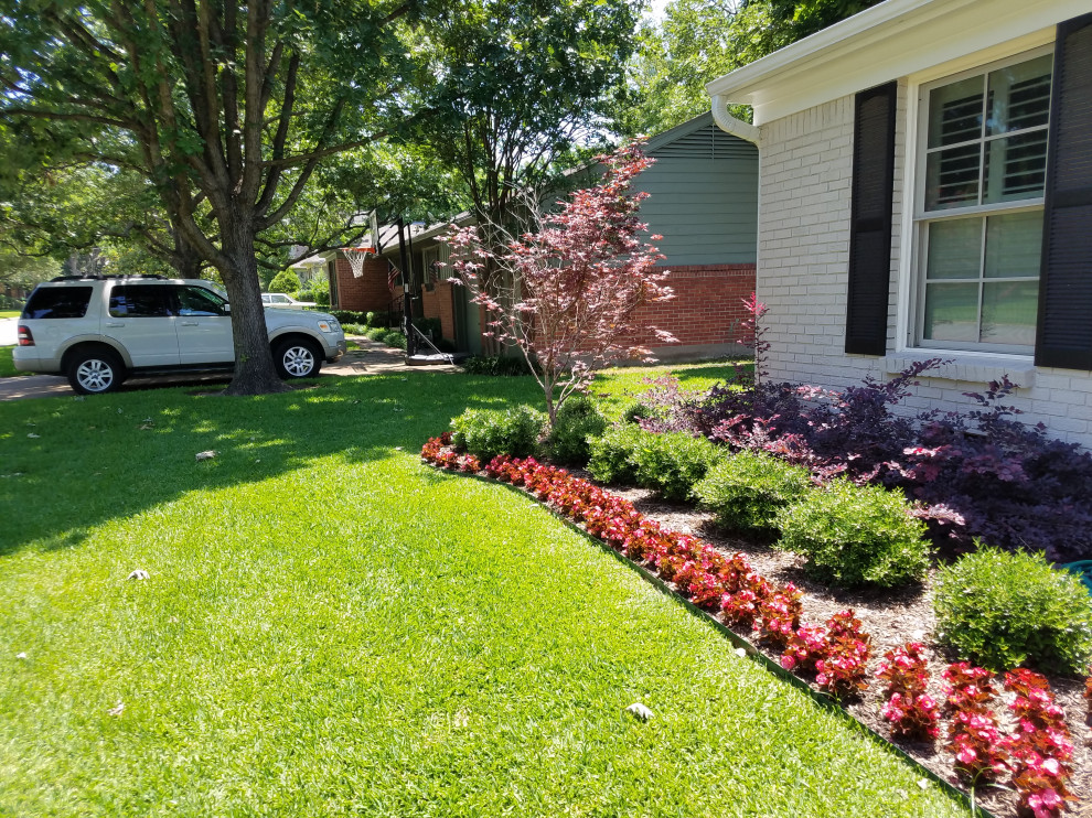 Traditional Front yard Landscape