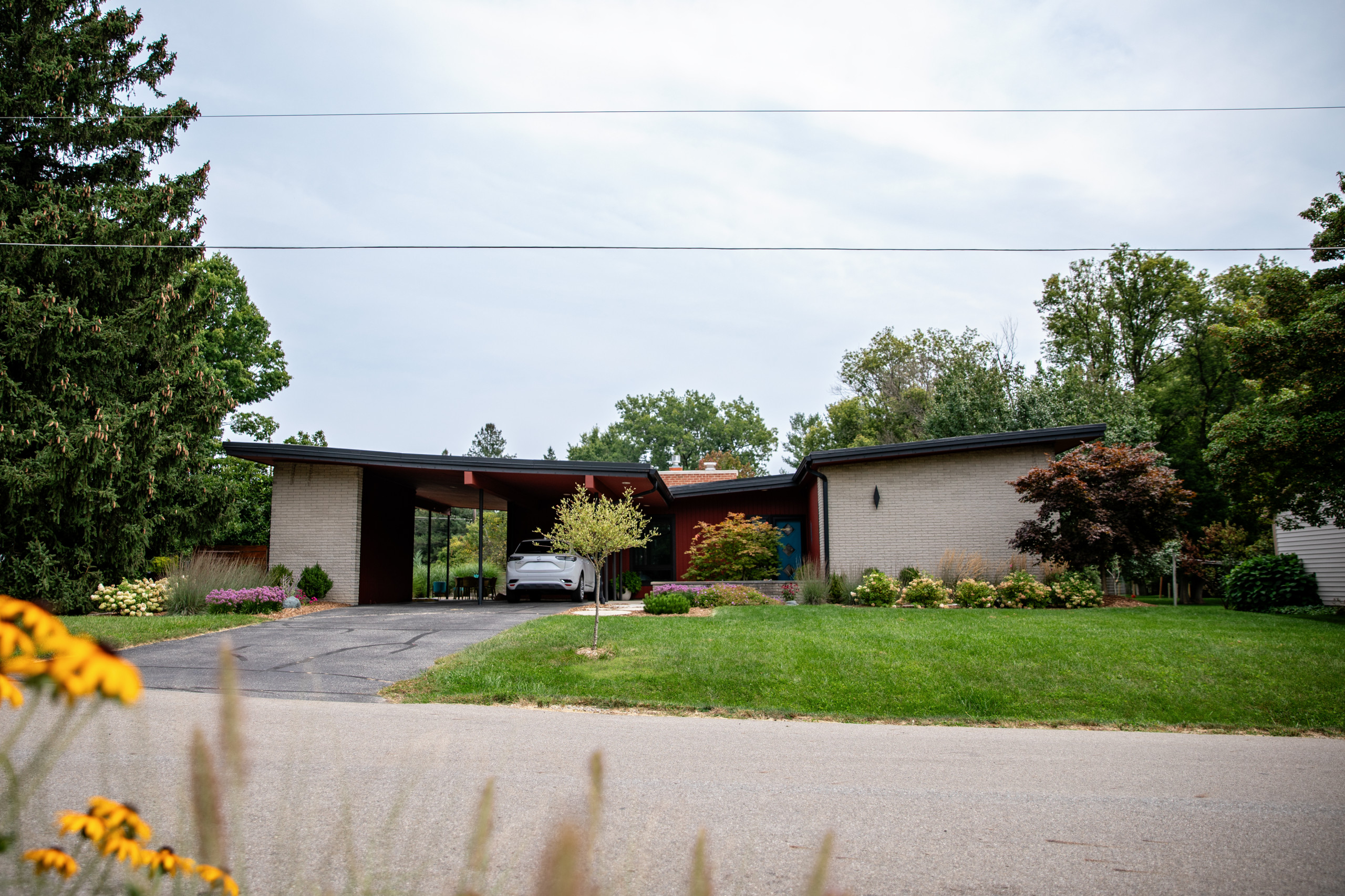 Mid-Century Modern Front Yard - East Lansing, MI
