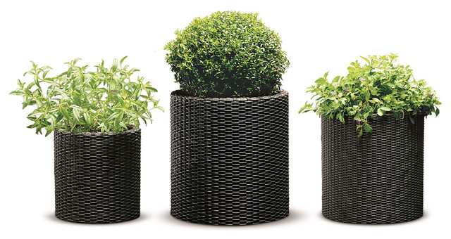 Keter 3 Piece Cylinder Plastic Resin Rattan Planter Tropical Outdoor Pots And Planters By Keter