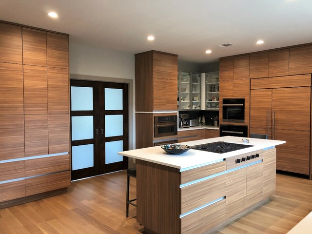 Sleek Contemporary Kitchen Remodel trendy-koekken