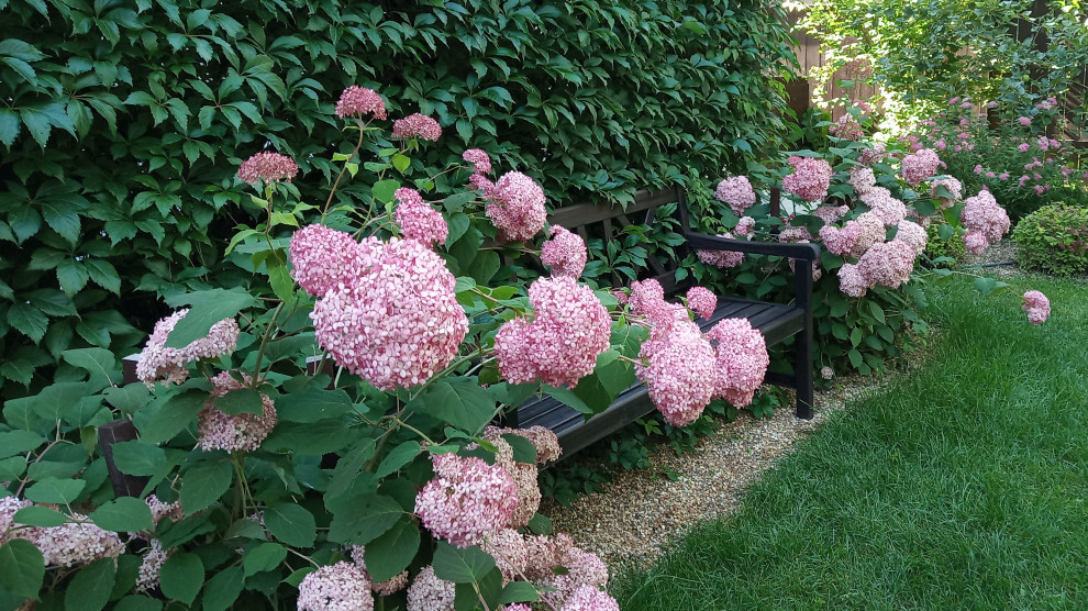 Сад в Рожновке