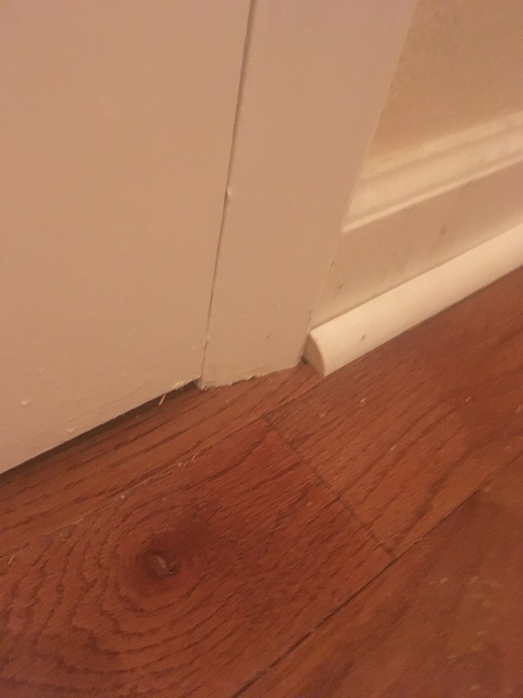 Weird looking Quarter round