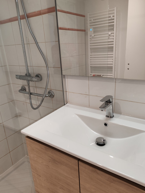 R&eacute;novation appartement montagne skandinavisch-badezimmer