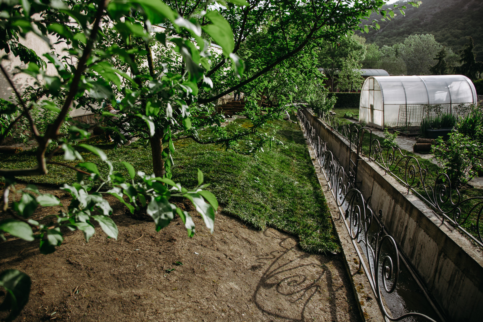 Монтаж системы автоматического полива и укладка рулонного газона в Новороссийске