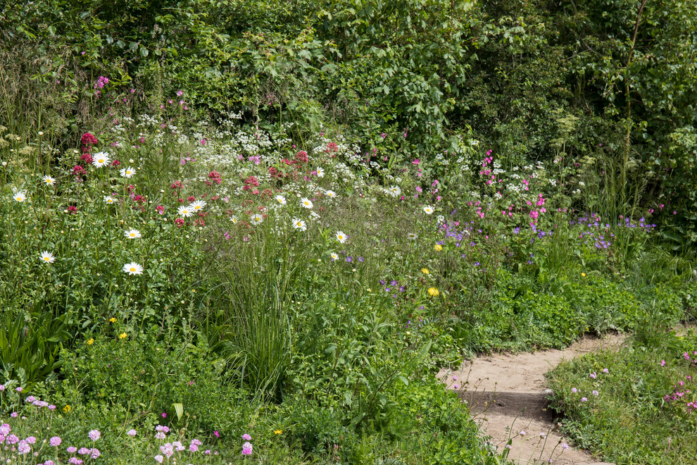 This is an example of a coastal landscaping in London.