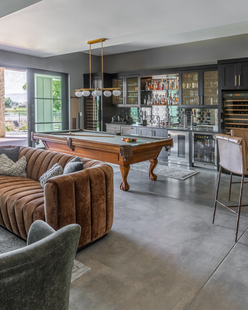 Barn Swallow Basement