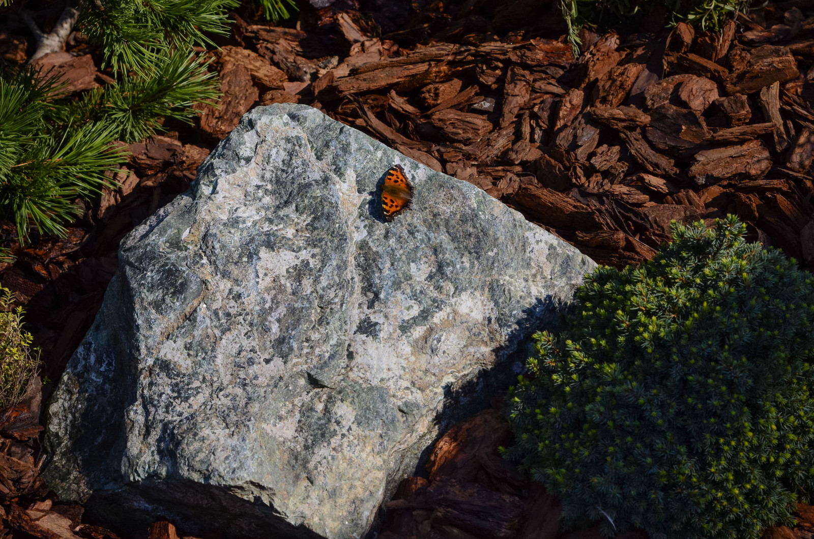 Избушка на опушке