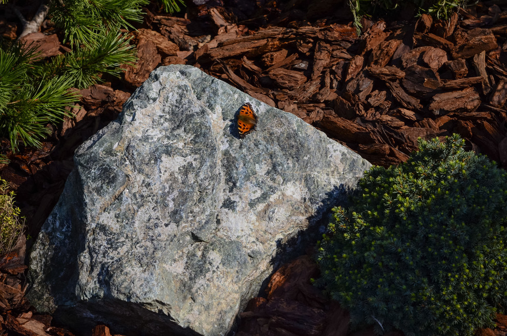 Избушка на опушке