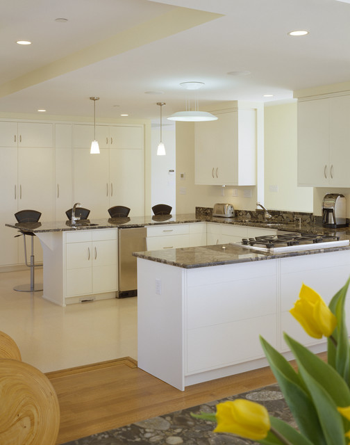 kitchen transitional-kitchen