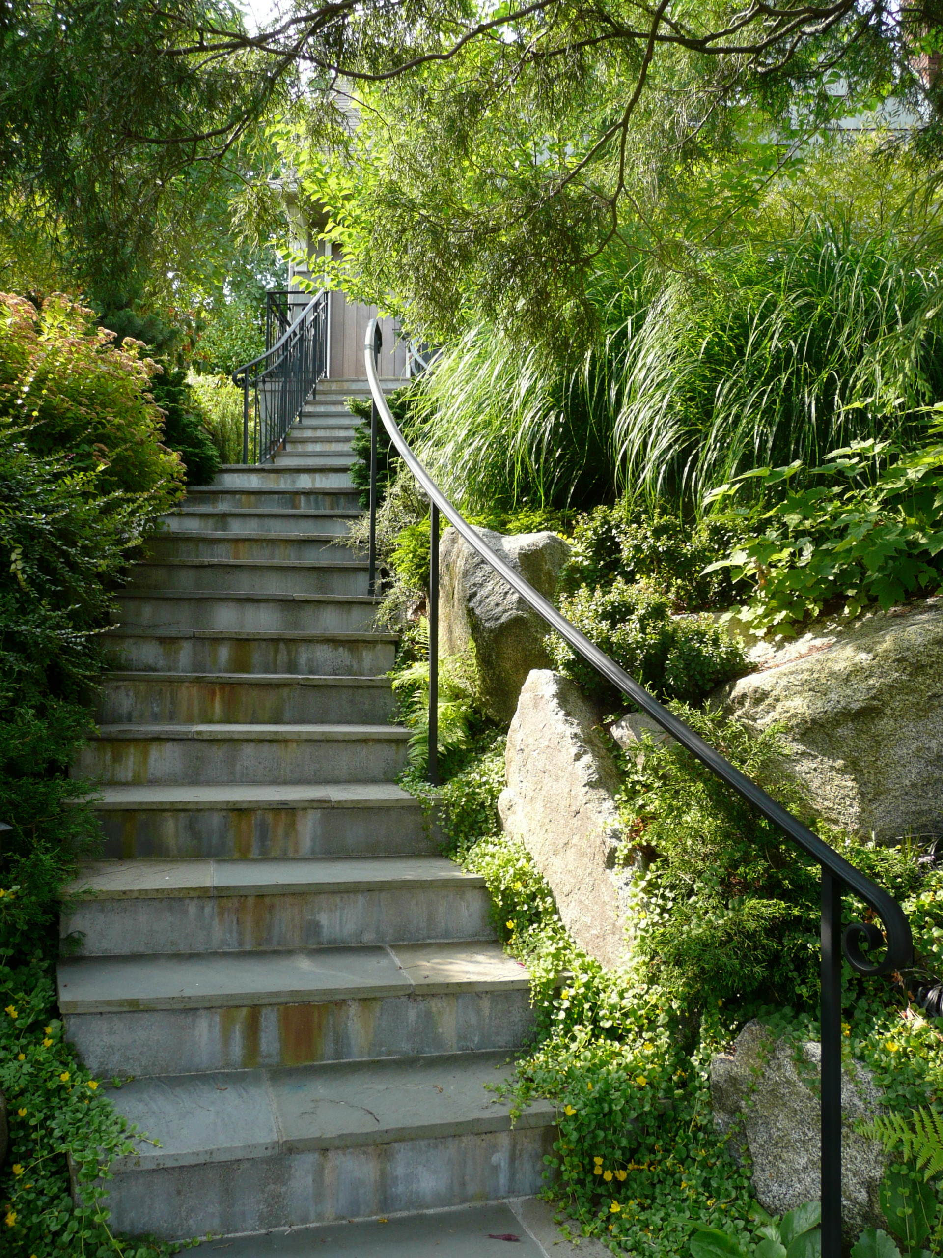 Montlake Gardenscapes