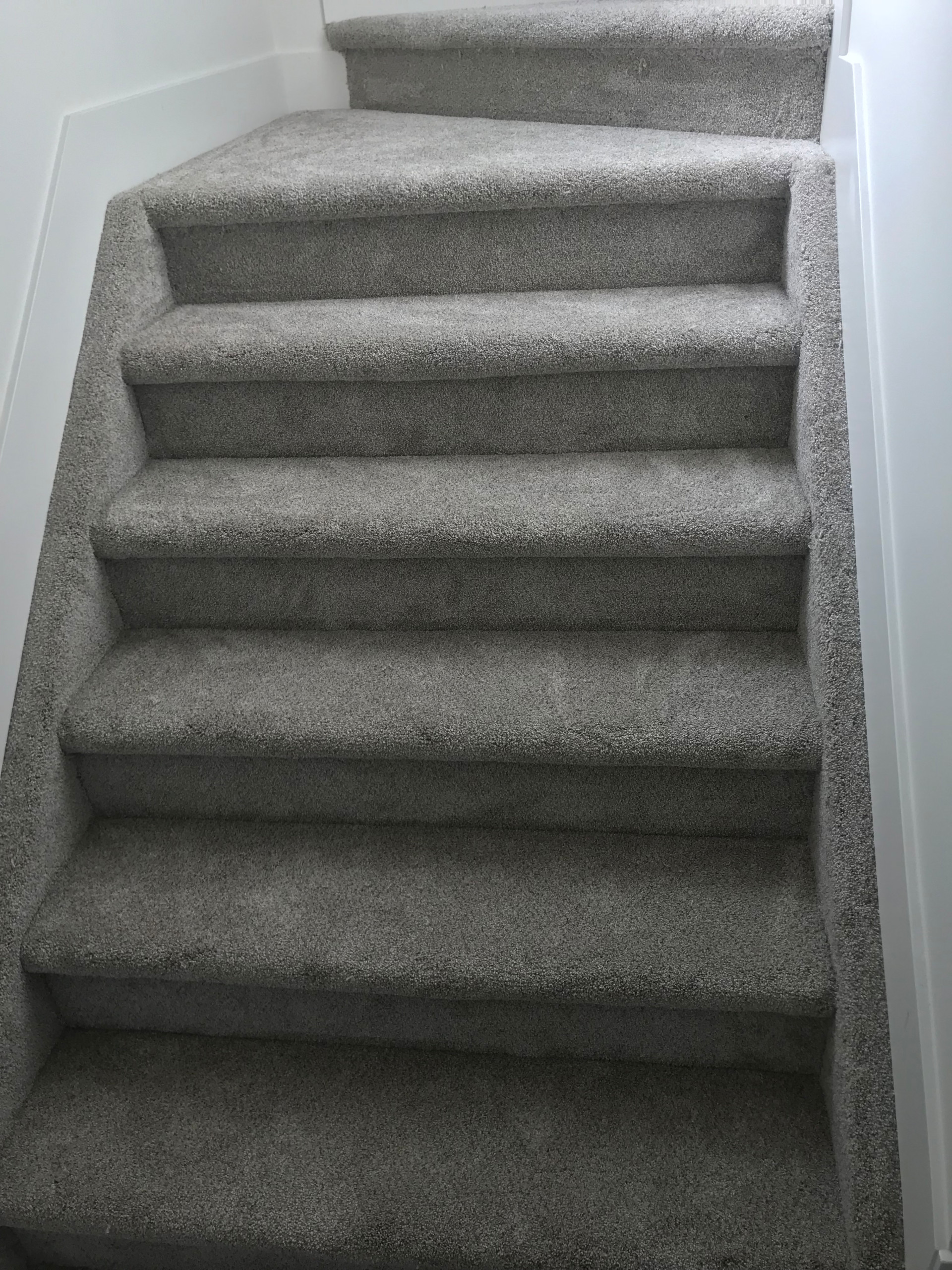 Carpet