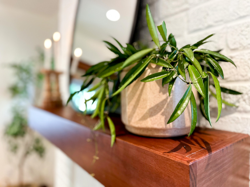 Refined Vintage Oasis | Littleton, CO | Historic Home Renovation