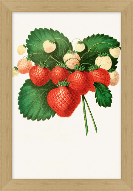 Fruit Harvest 2 - Farmhouse - Prints And Posters - by Wendover Art ...