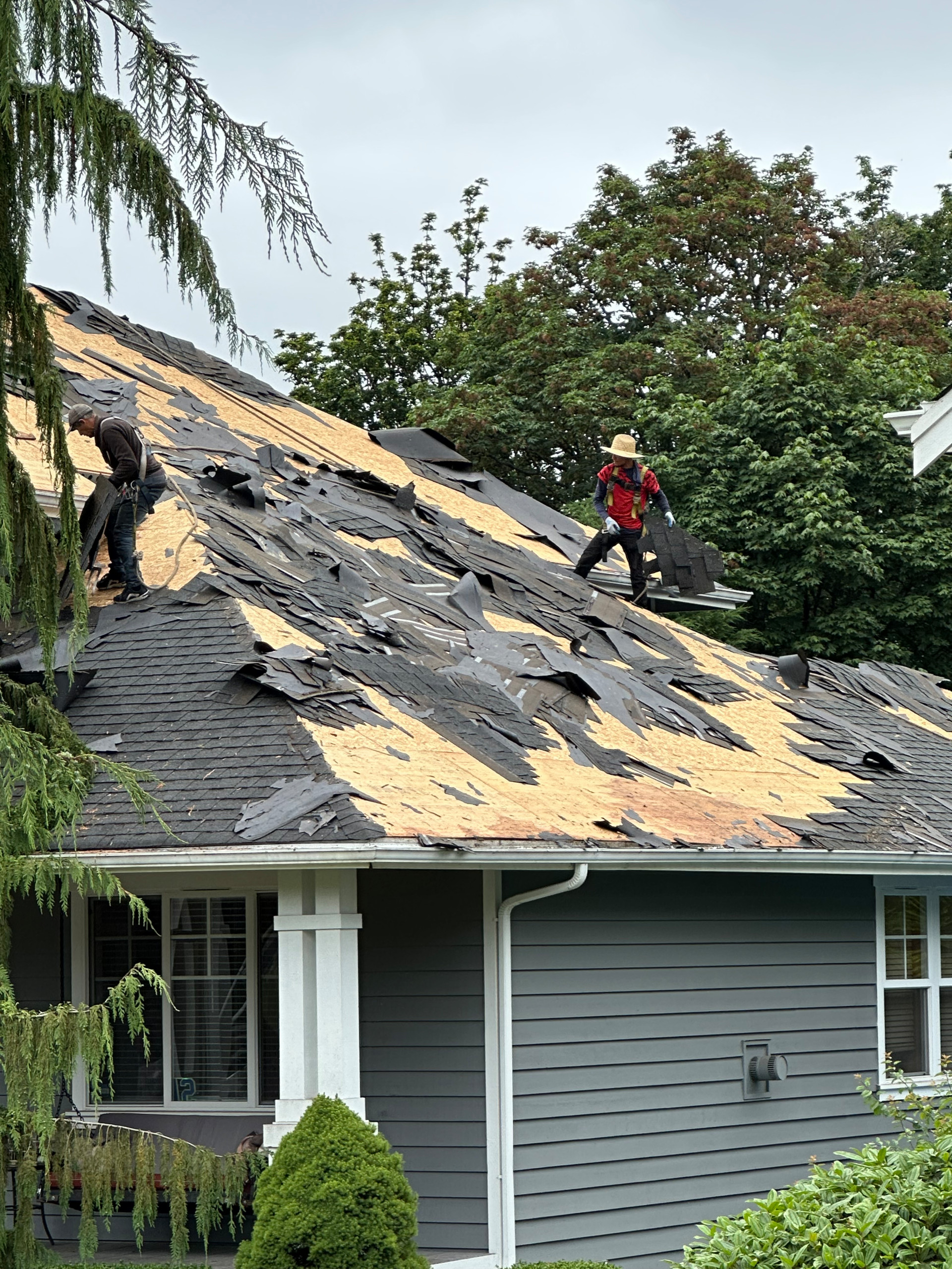 Snohomish Roof - 50+ Squares of roofing