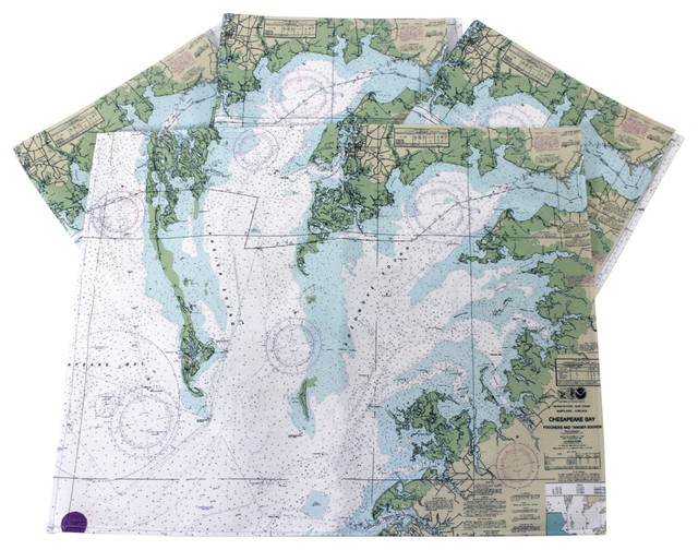 Chesapeake Bay Map 17.5 Inch Kitchen Dining Room Placemats Set of 4 Betsy Drake Contemporary