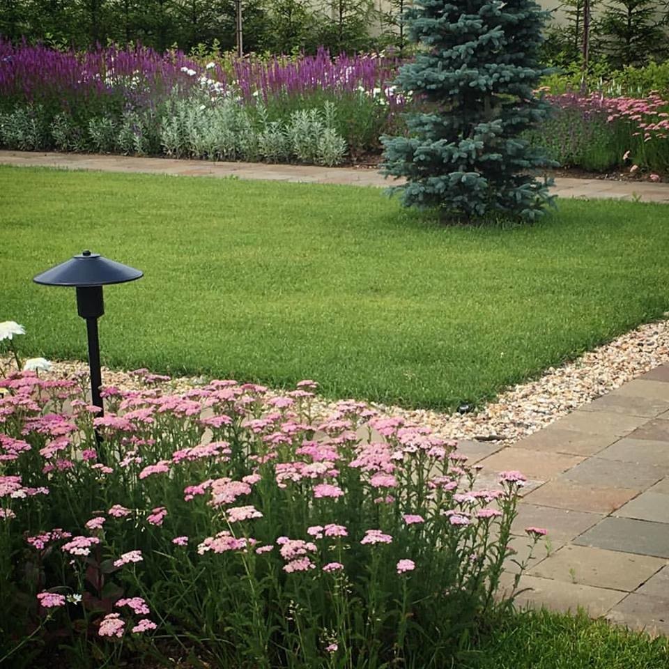 Миксбордеры из многолетников