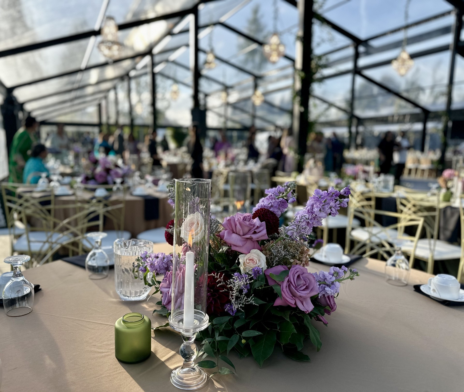 Athiana Acres:  An organic Regenerative Farm