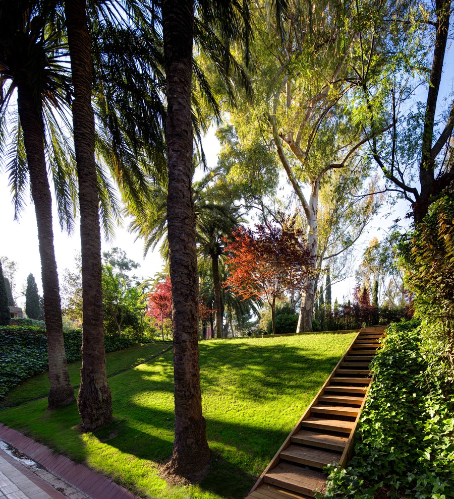 This is an example of a large tropical courtyard partial sun formal garden in Barcelona with a garden path and decking.