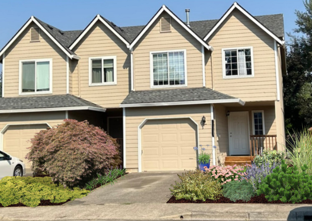 Foundation Plantings