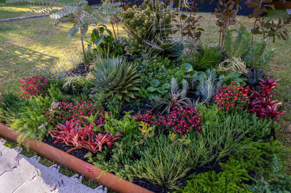 Kleiner Eklektischer Garten mit Metallzaun in Melbourne