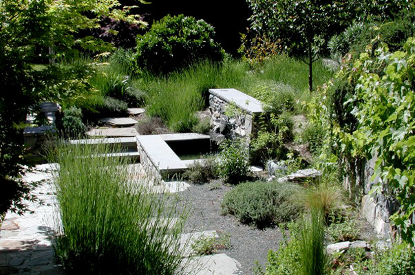 Design ideas for a traditional garden in San Francisco.