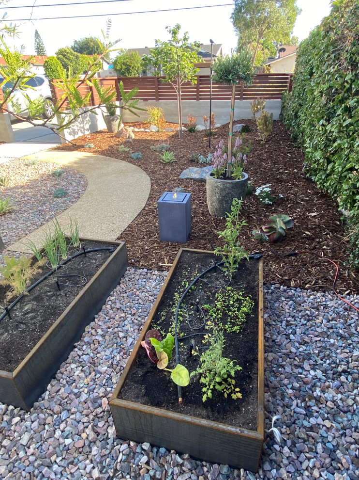 Mittelgroßer Retro Garten im Frühling mit direkter Sonneneinstrahlung und Holzzaun in Los Angeles