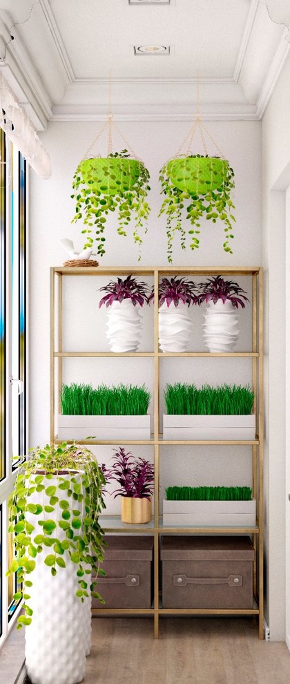 Солнечный бриз