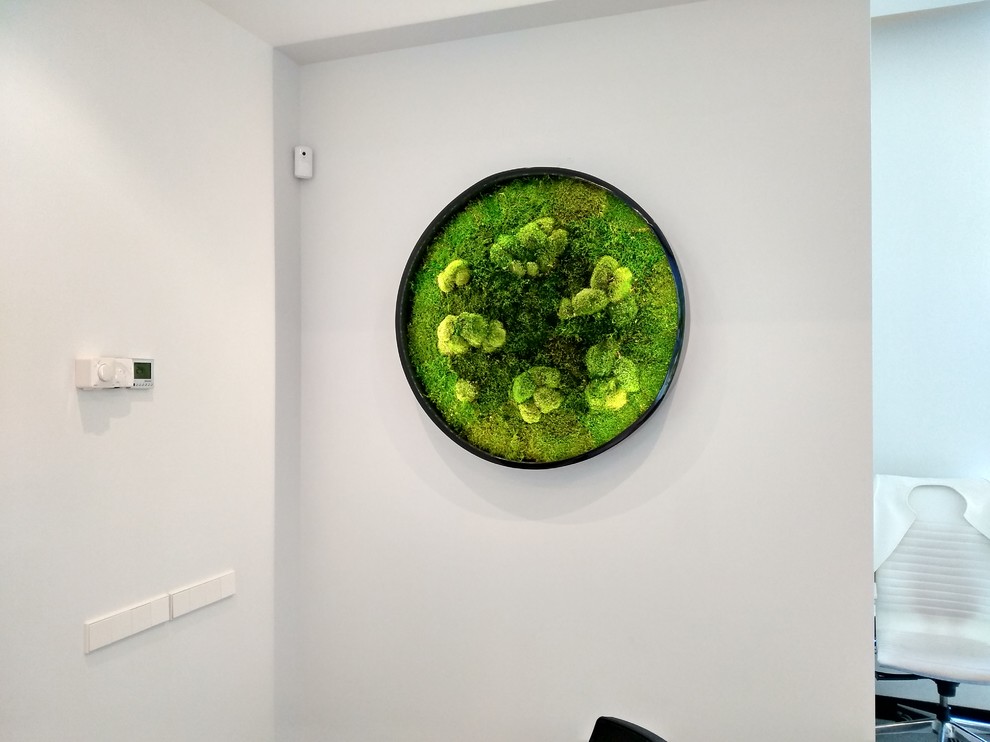 Фитокартины из мха