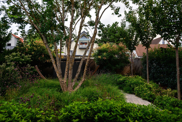 Hausgarten mit Naturpool in Griesheim 1 Jahr später 2022