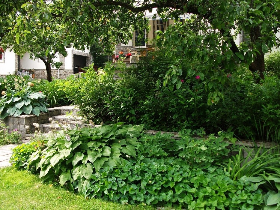 Минское шоссе. 22 сотки. Реконструкция сада.