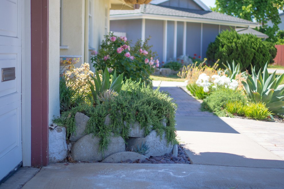 Design ideas for a mid-sized transitional front yard full sun xeriscape for summer in Orange County with brick pavers.
