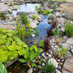 Shonnard's Nursery Florist & Landscape