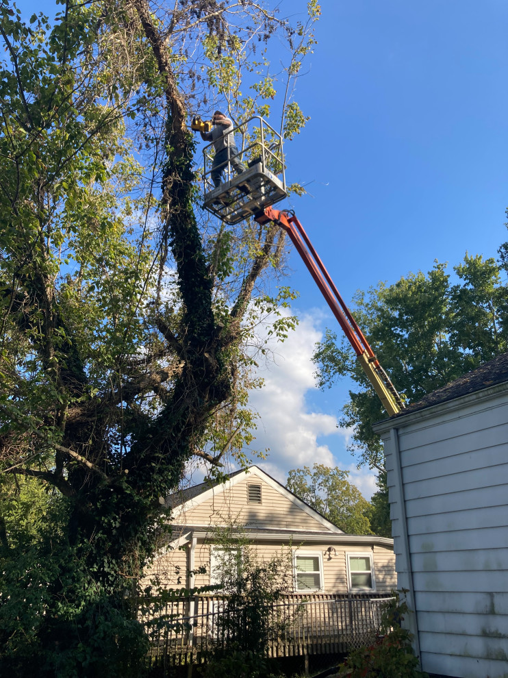 Exterior Projects