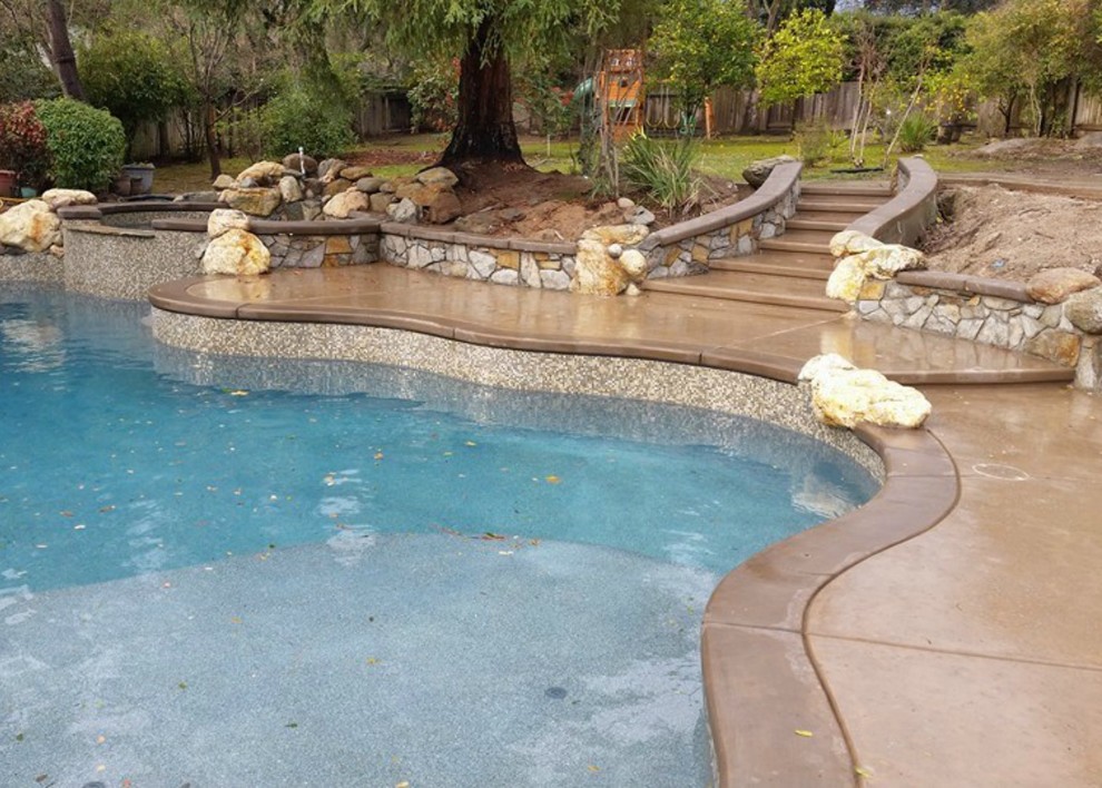 Large transitional backyard concrete paver and custom-shaped full sun pool photo for spring in Sacramento
