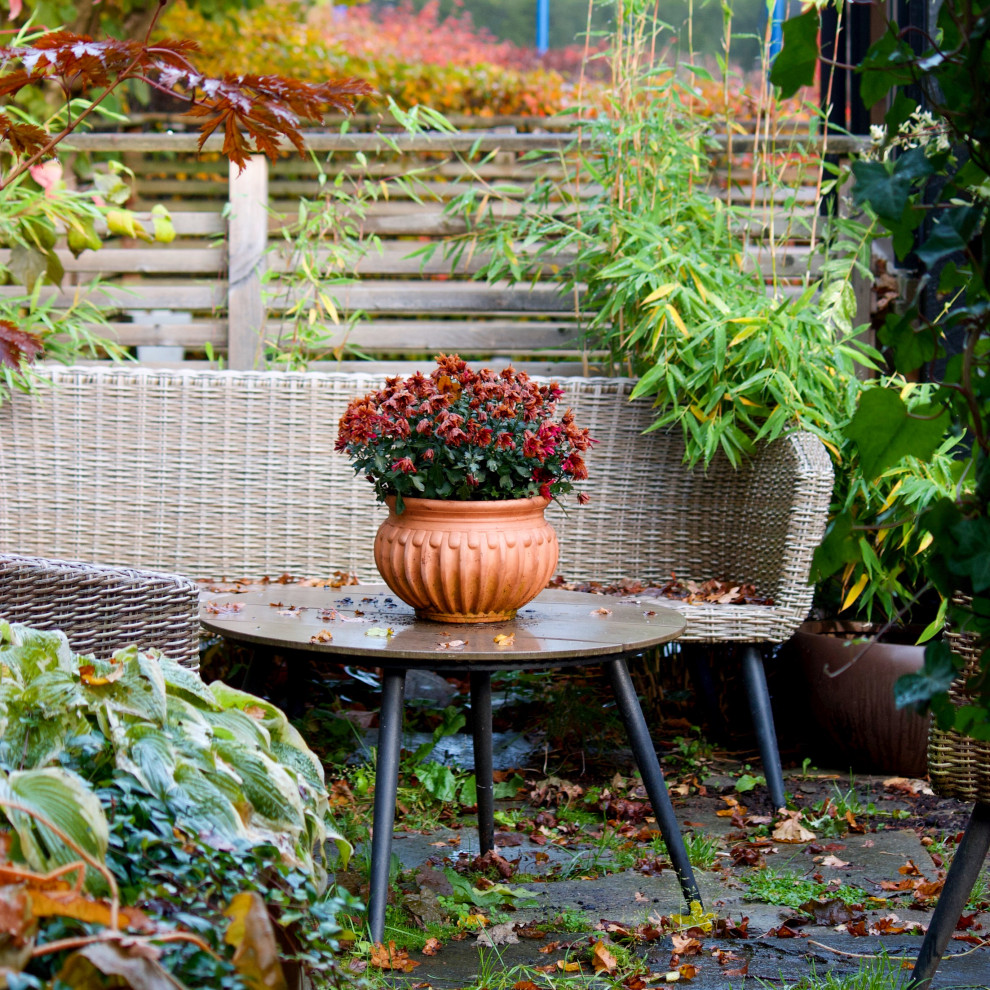 Bild på en liten orientalisk bakgård i delvis sol på hösten