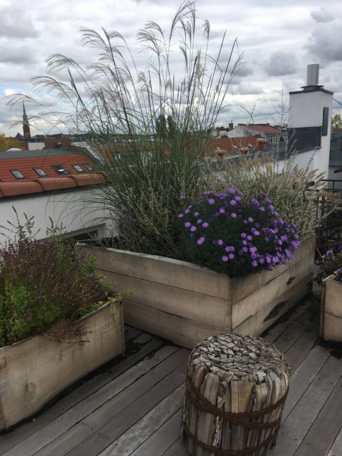 Bapflanzung Holzgef&auml;&szlig;e auf Dachterrasse 