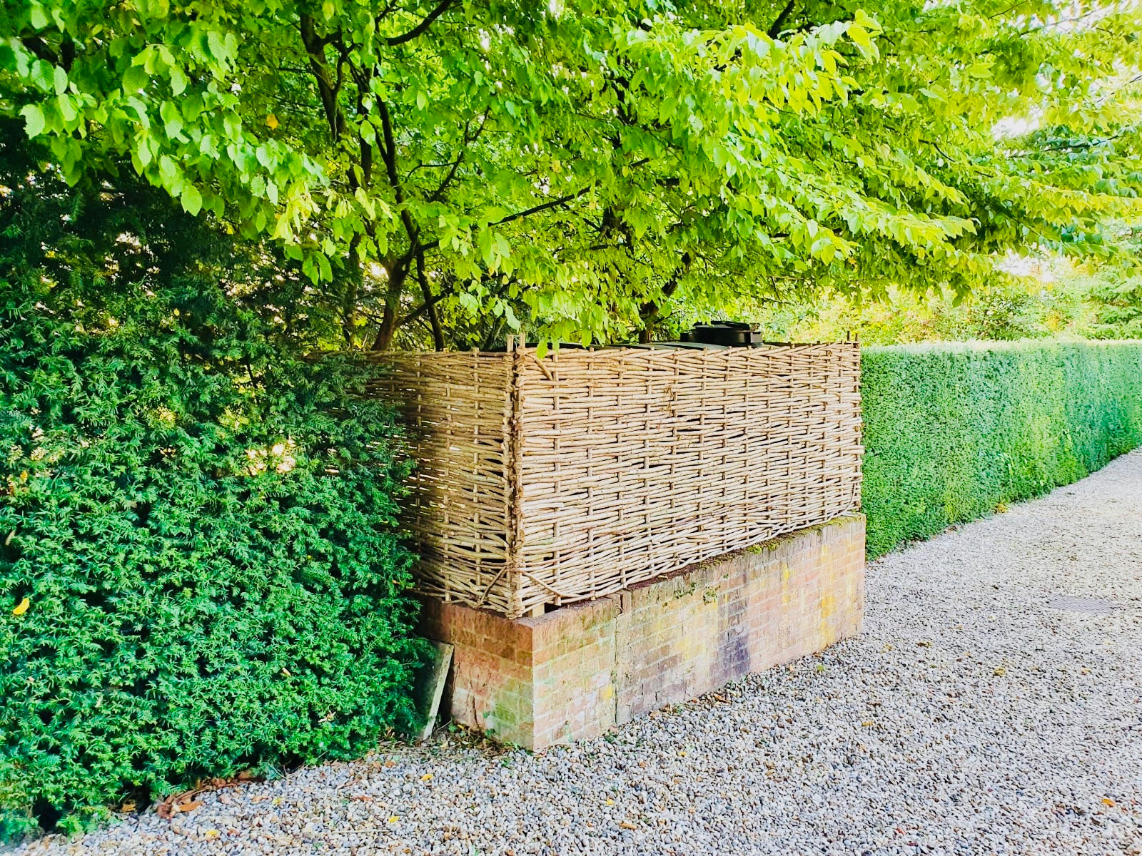 Garden Screening Ideas